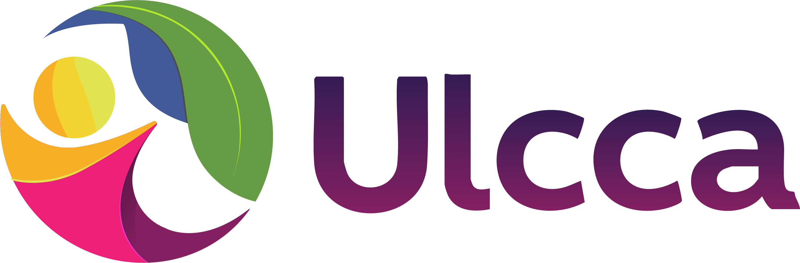Ulcca Joshi Hansen